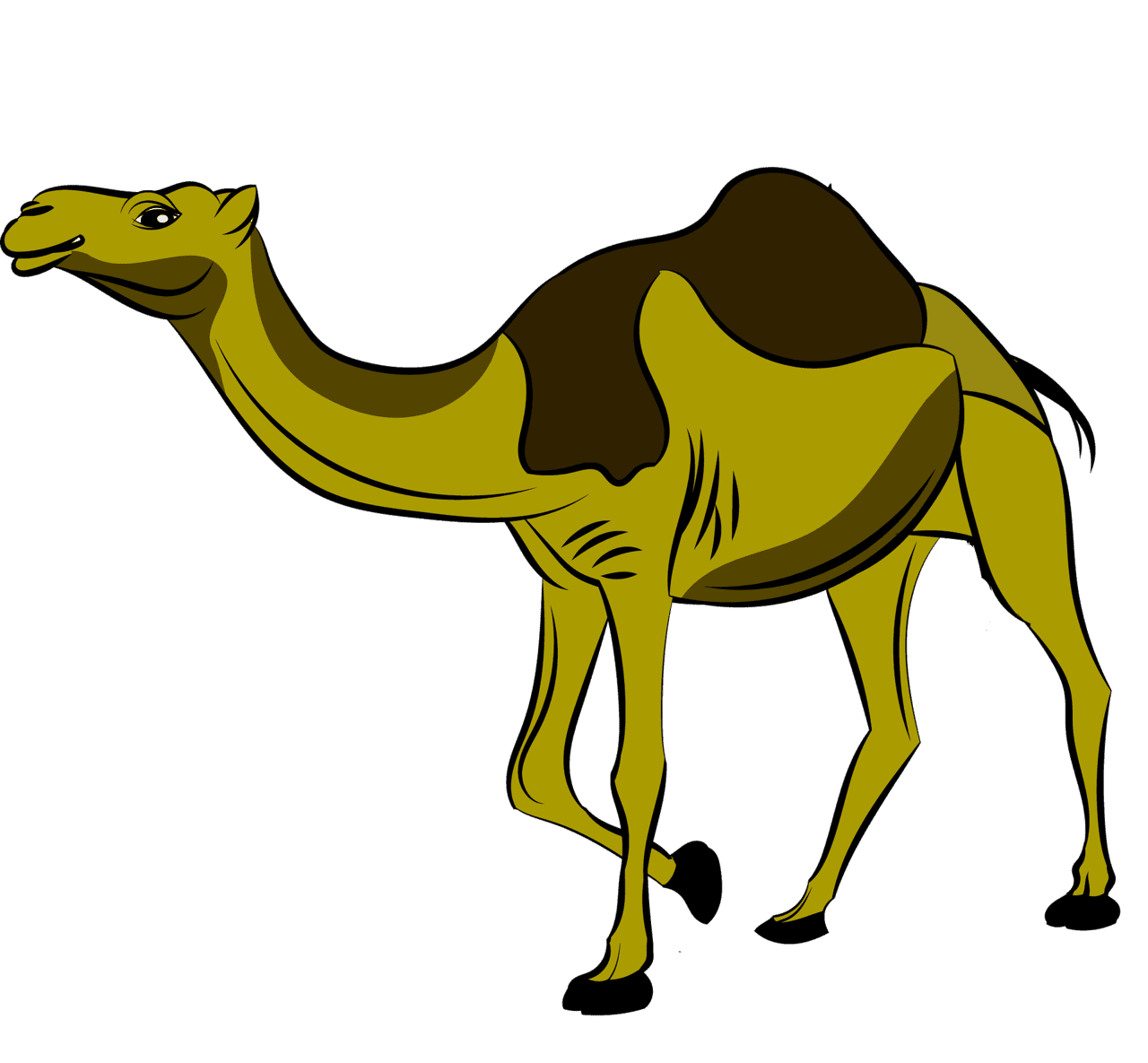 Camel vector clipart images 8