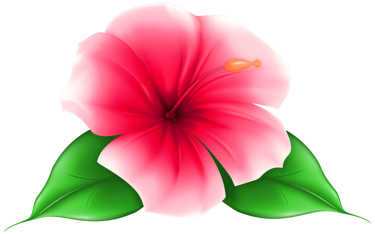 Hawaii pin page clipart picture