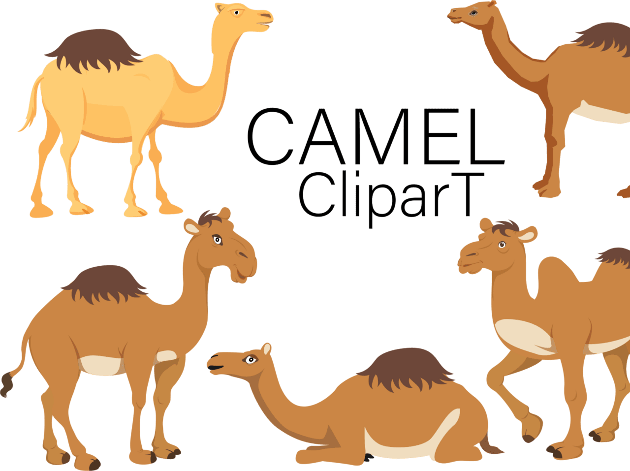 Camel by zyan clipart picture