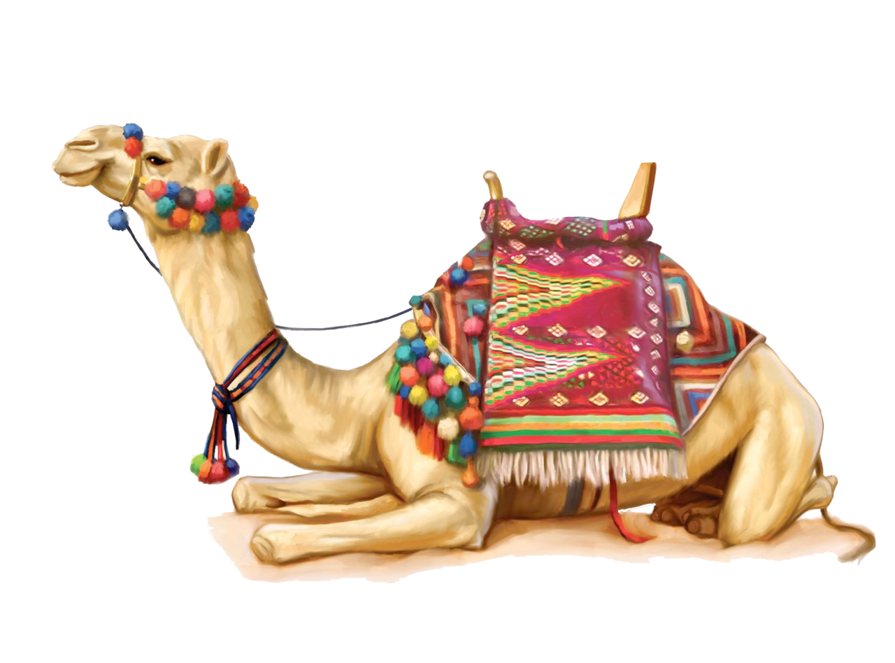 Camel pin page clipart image