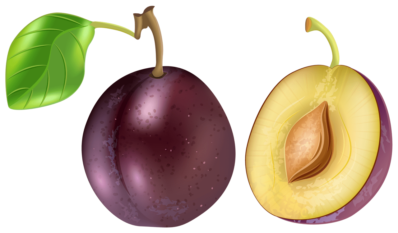 Fruits plum clipart image