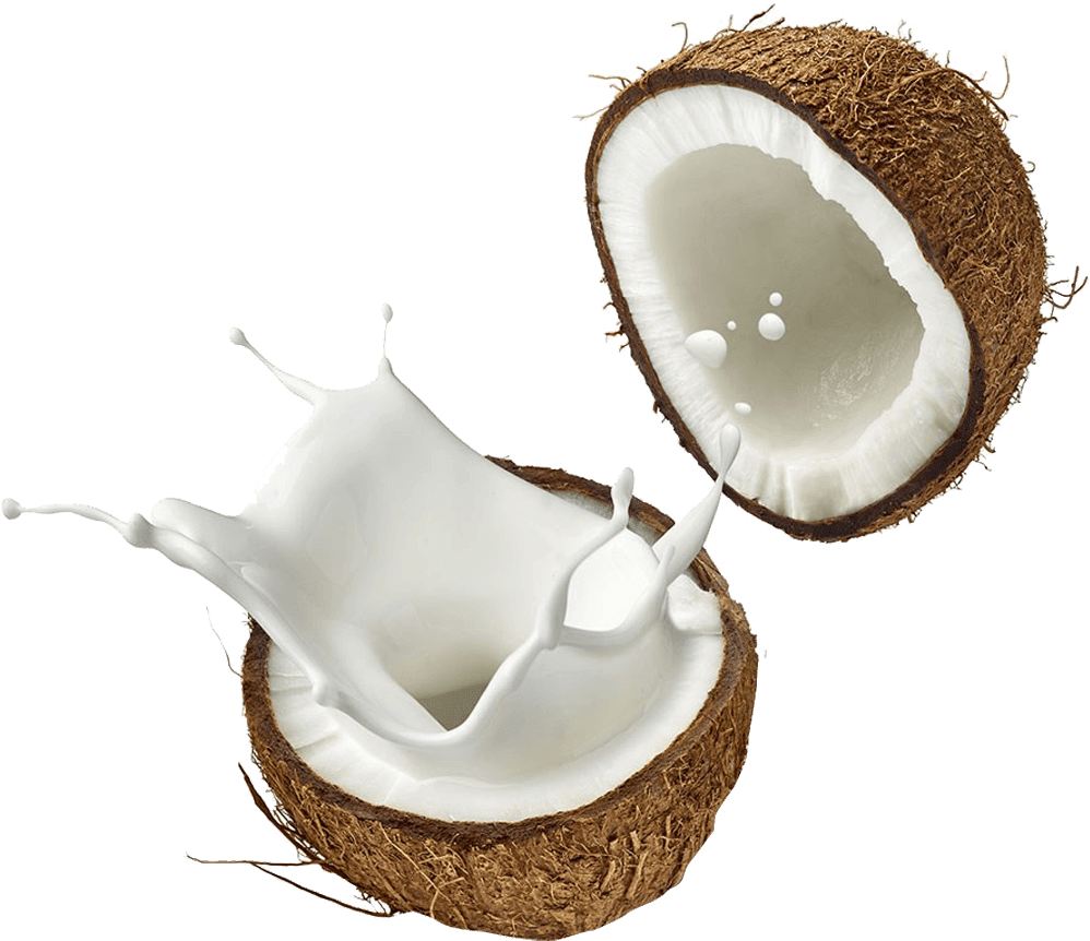 Coconut milk clipart free