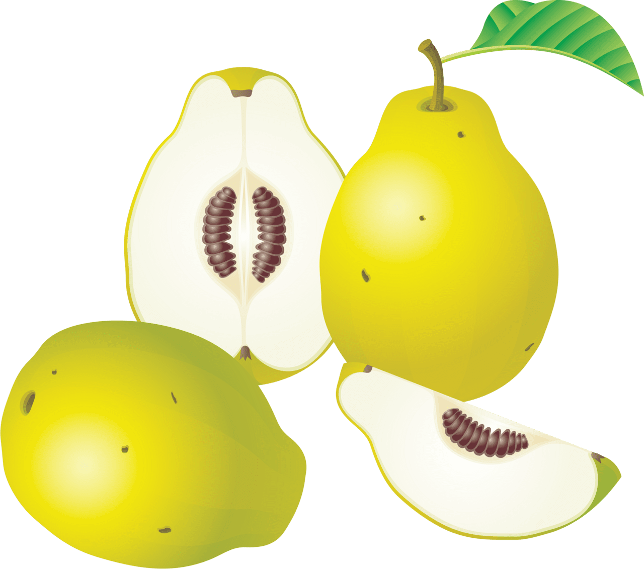 Fruits pear clipart transparent