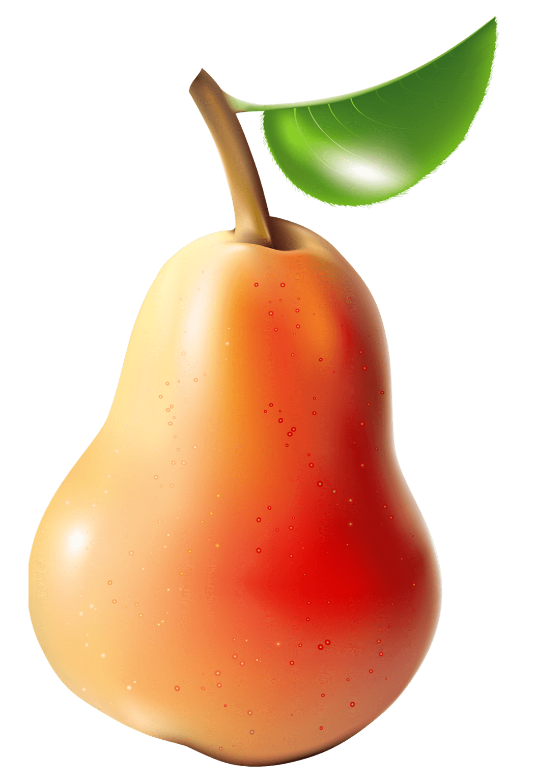 Fruits pear clipart image 2