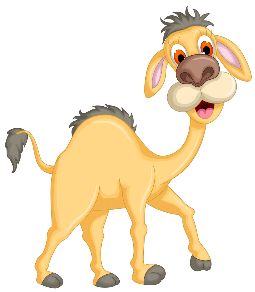 Camel clipart transparent