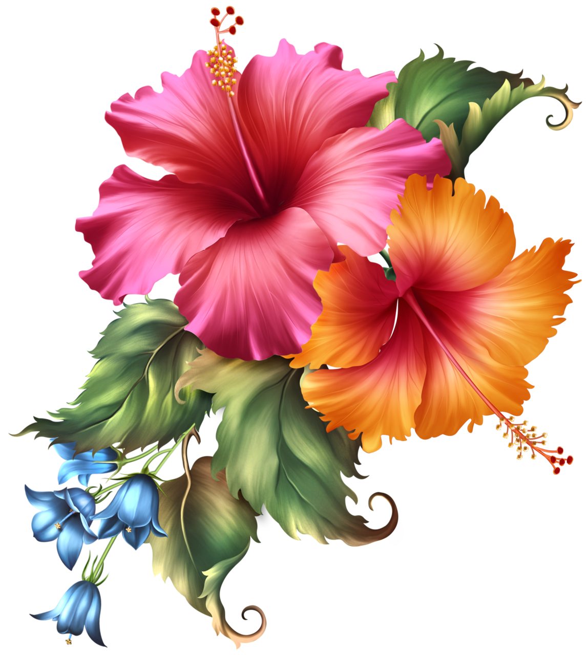 Hawaii flower art floral painting folk flowers clipart vector