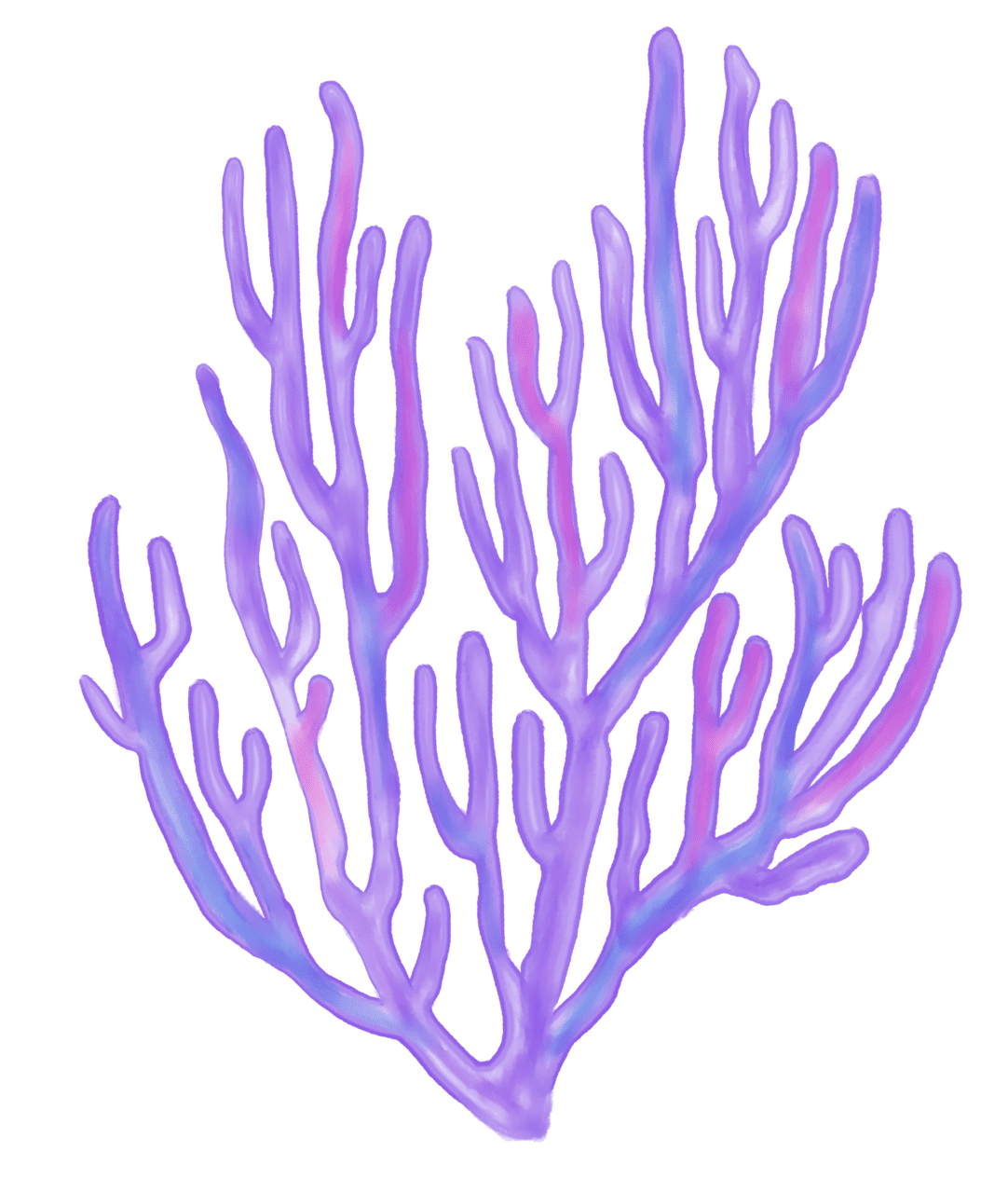 Coral pin page clipart picture 3