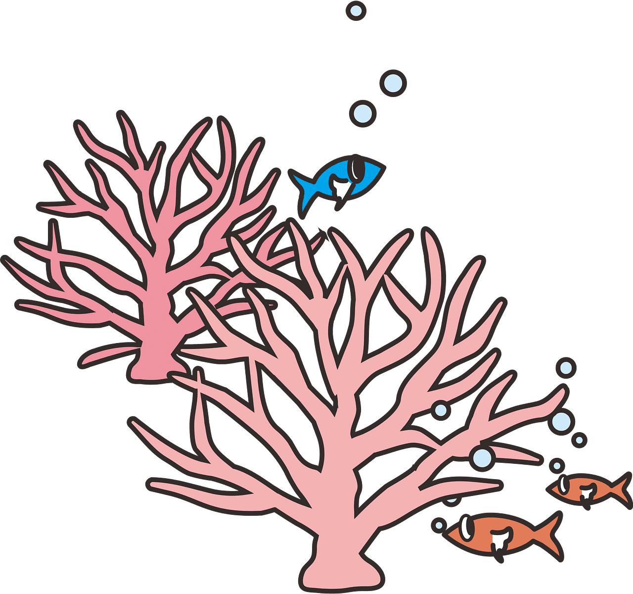 Coral reef vector clipart images