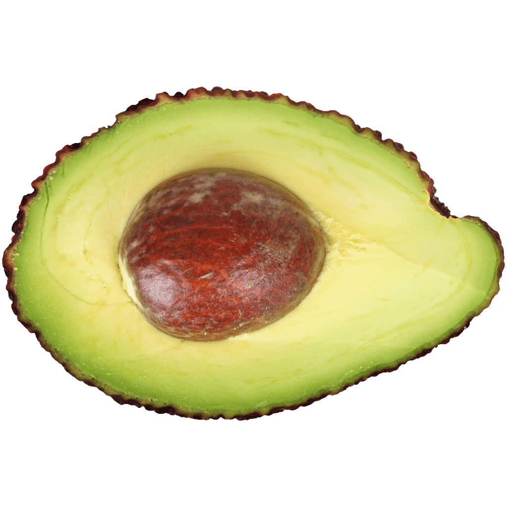 Avocado vector clipart picture