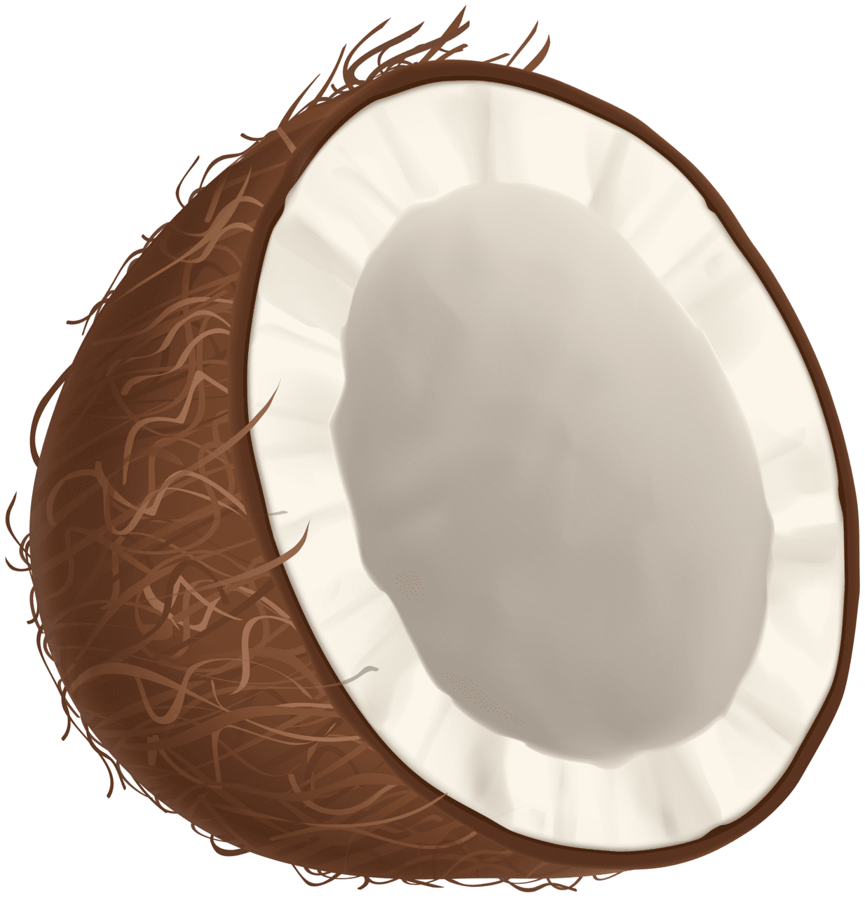 Coconut tree template clipart background