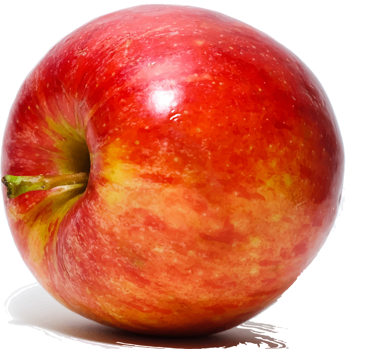 Fruits apple fruit close up vector graphic clipart