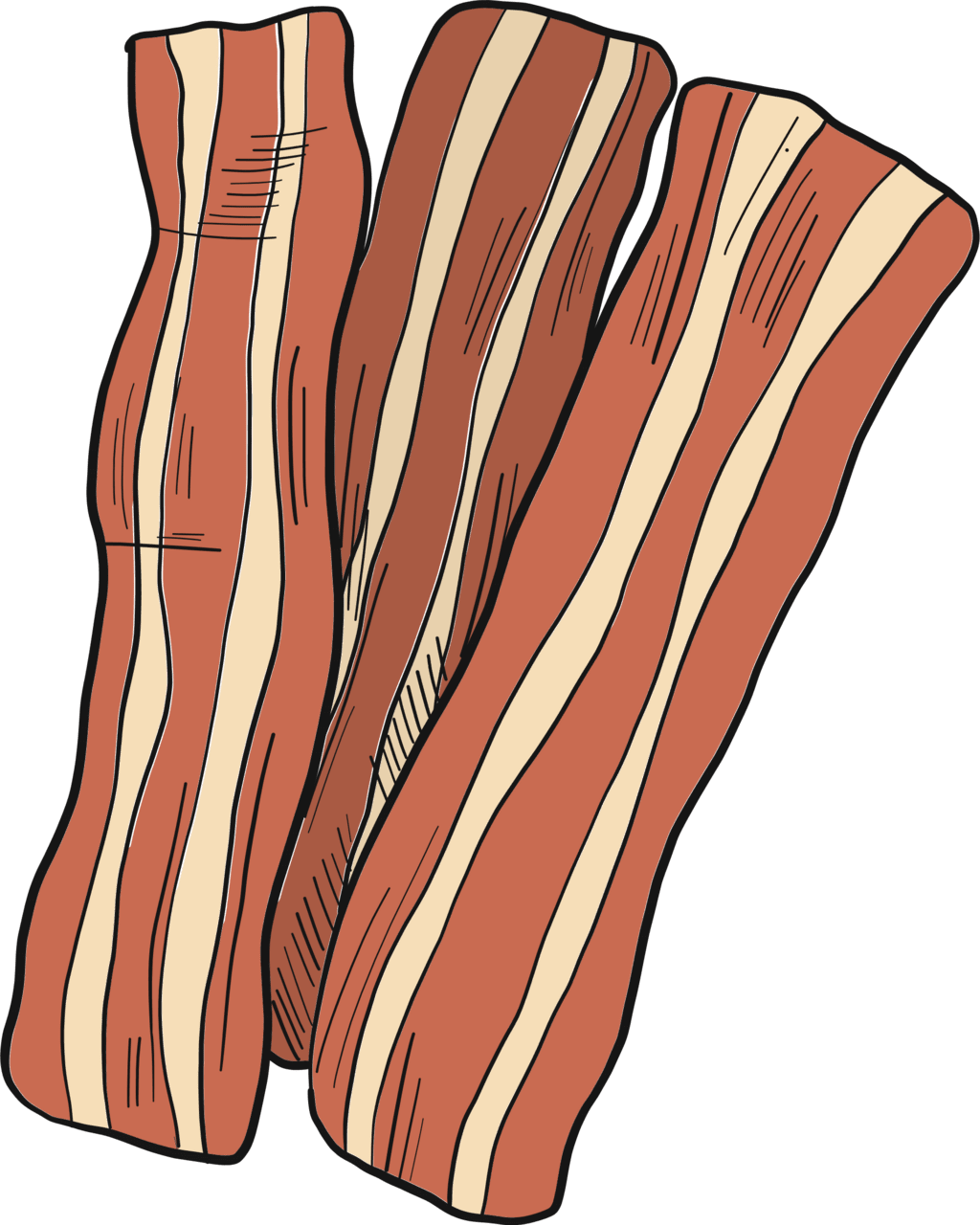 Bacon slices vector clipart images