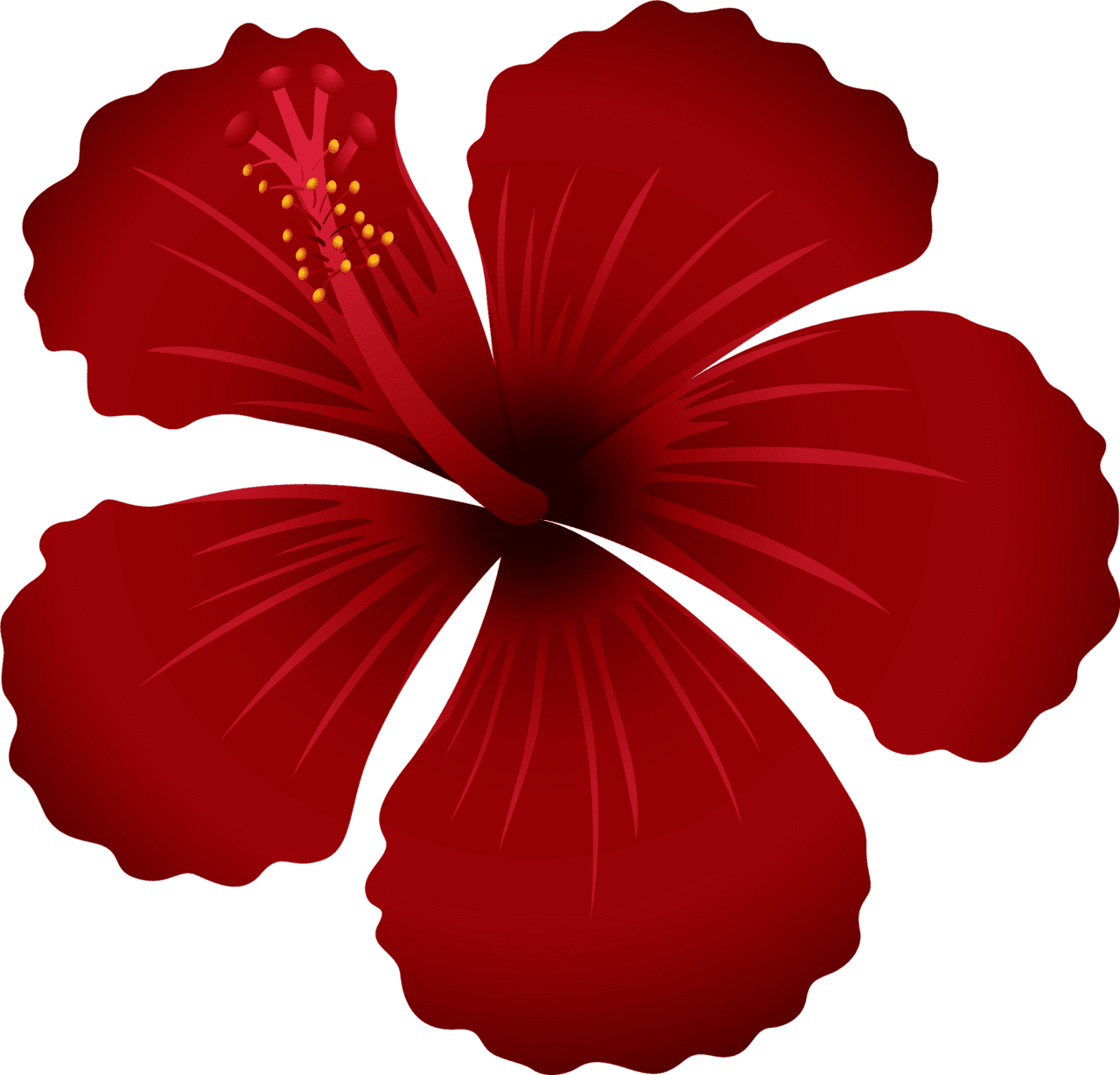 Hawaii dark red flower vector clipart