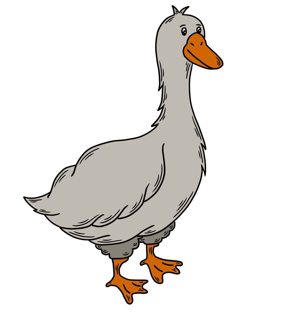 Cartoon goose bird image clipart