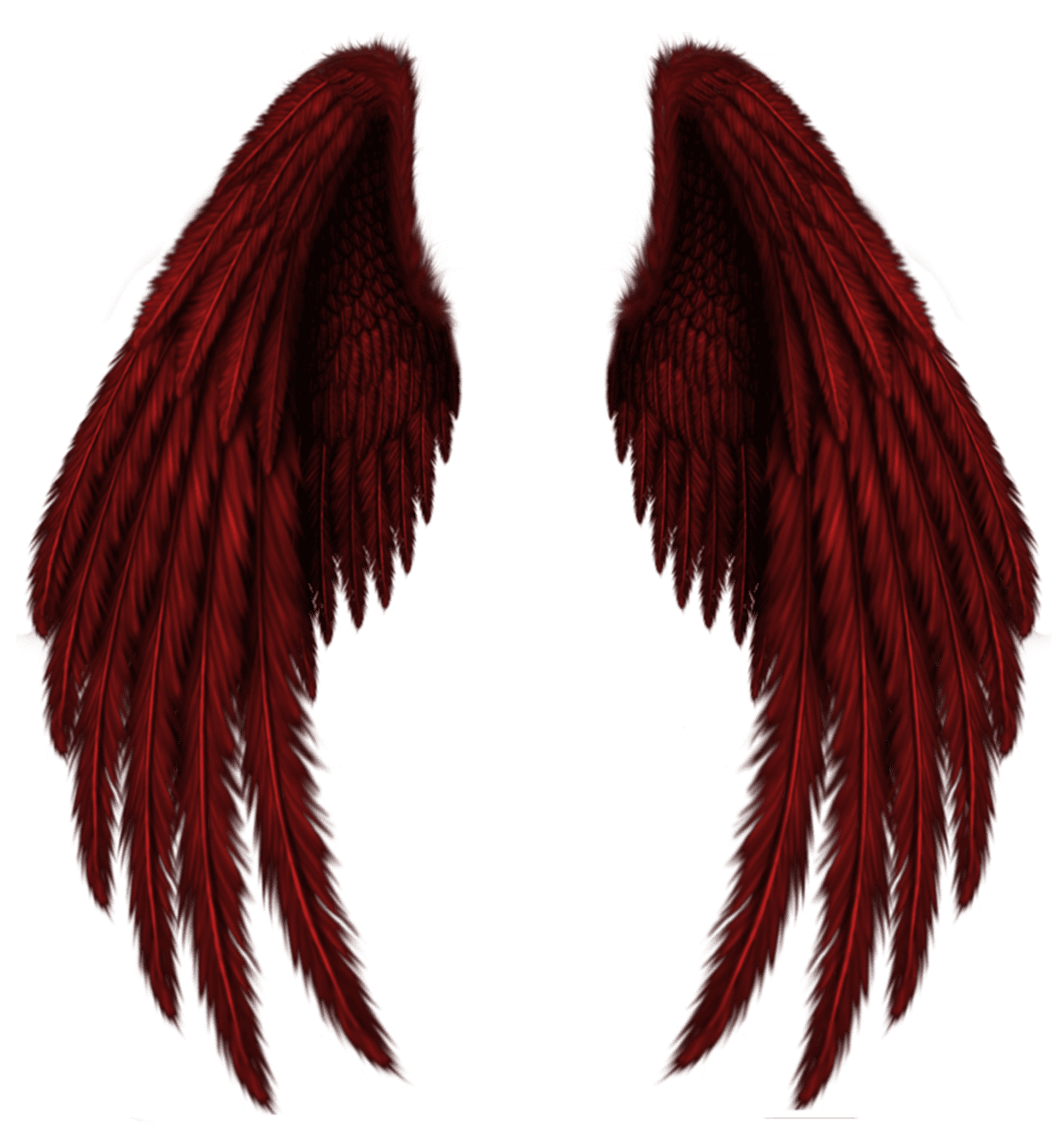 Red wings clipart picture