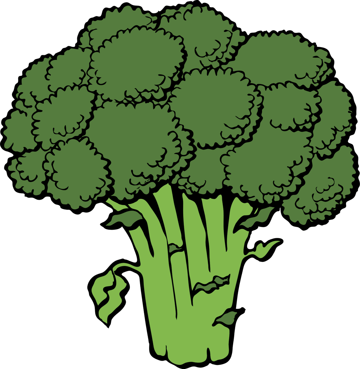 Broccoli vector clipart images