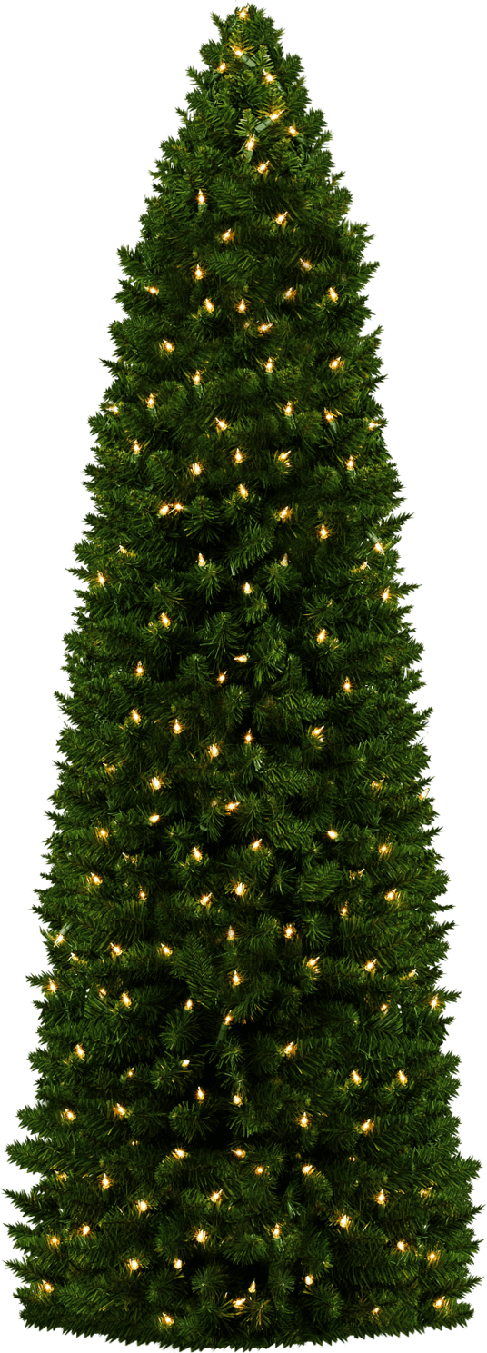 Christmas tree png by dbszabo deviantart clipart free