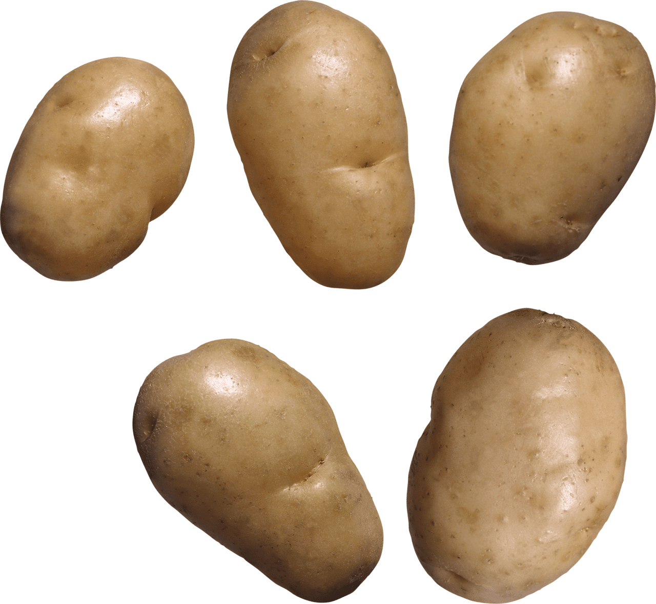 Potato images clipart