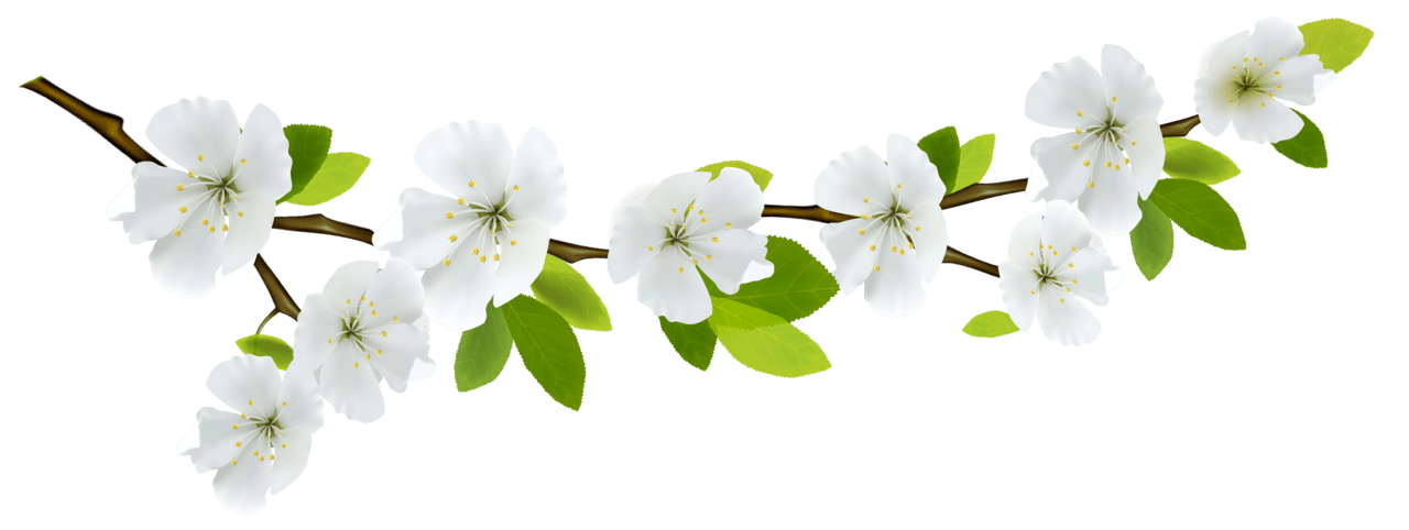 Vine branch picture hq fre img clipart