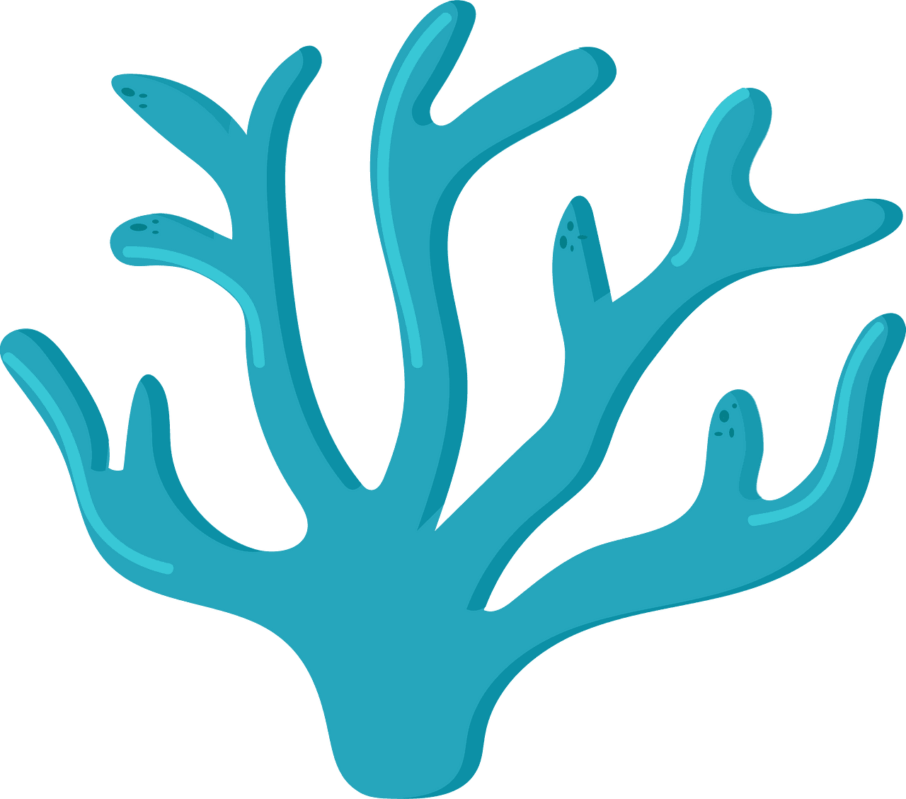 Coral vector clipart images