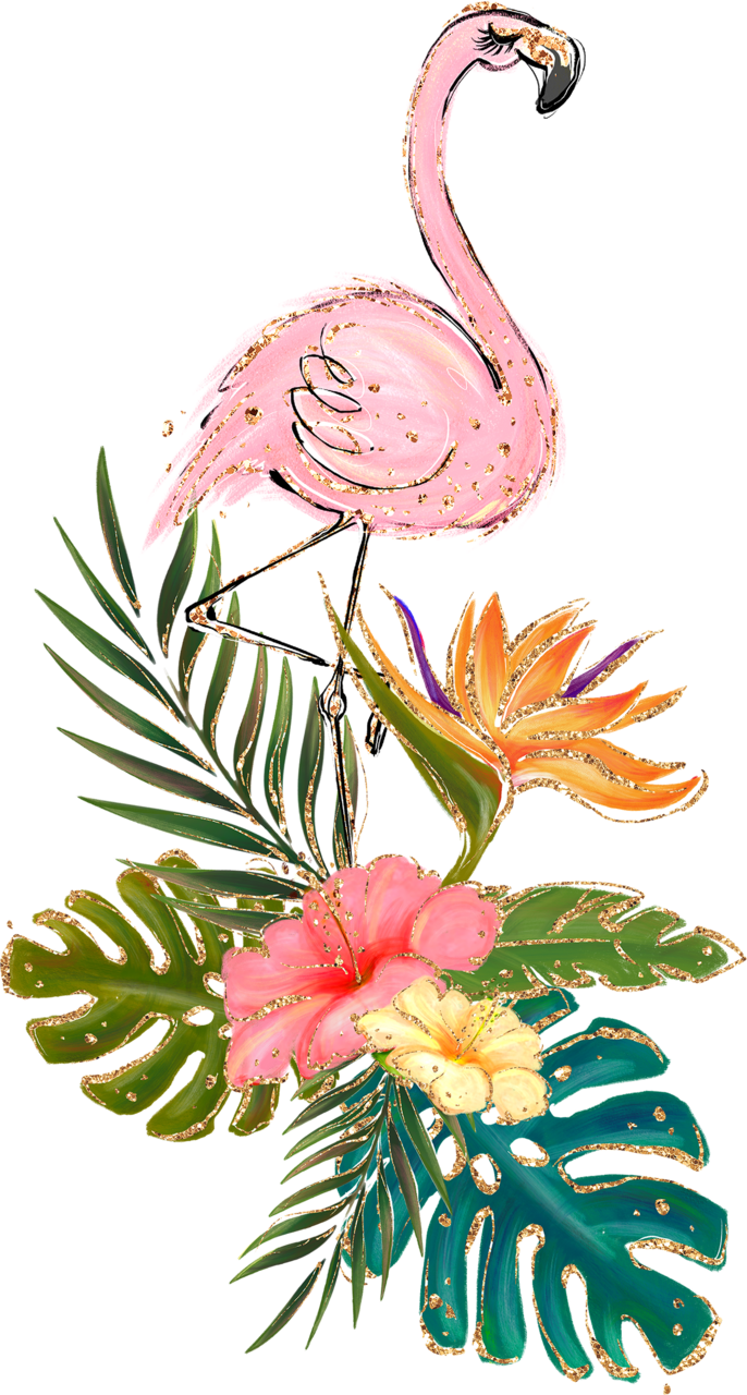 Hawaii page clipart free