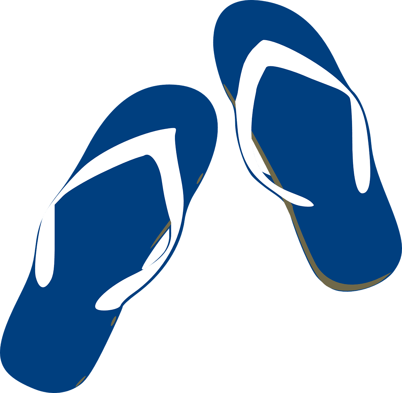 Thongs flip flop footwear vector graphic clipart