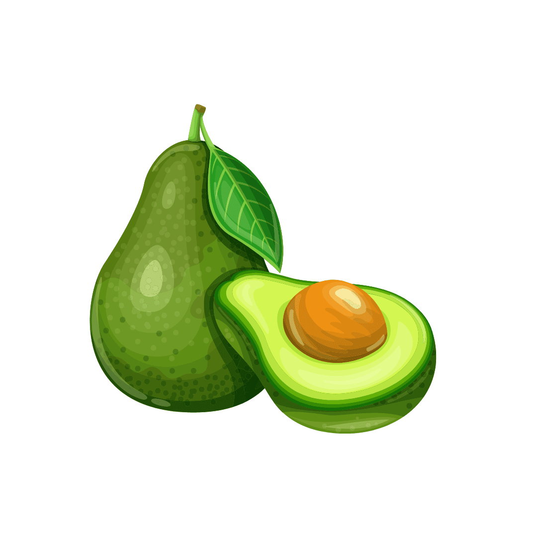 Avocado pin page clipart transparent