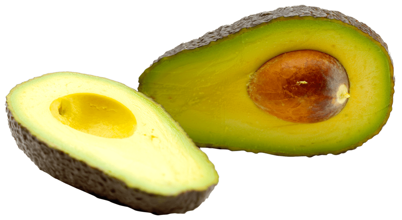 Avocado half aocados clipart logo