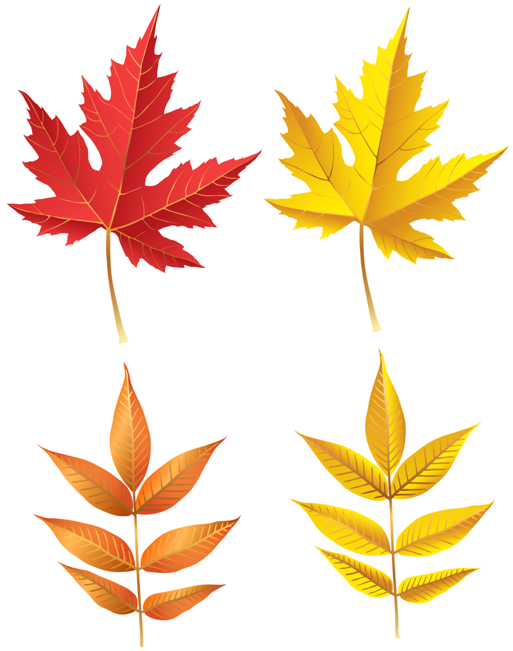 Autumn leaf leaves set clipart picture