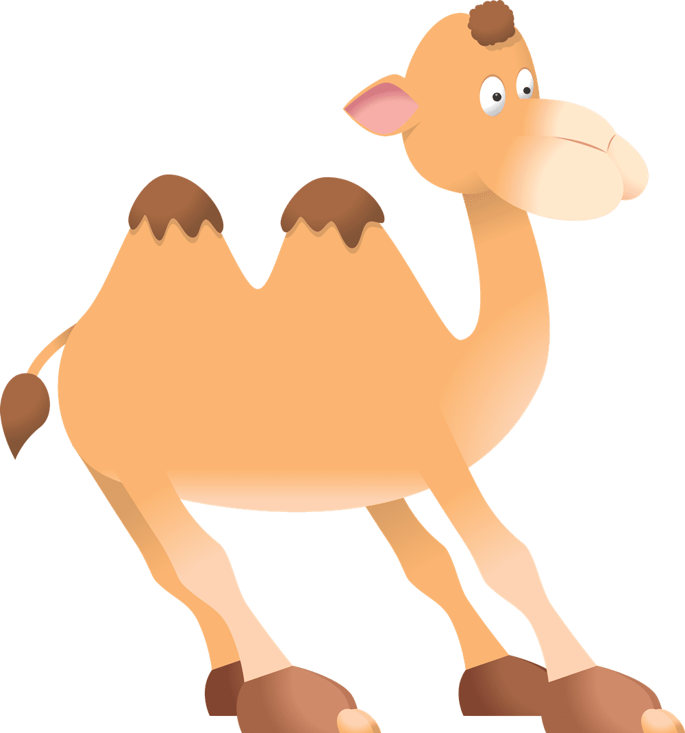 Camel clipart image