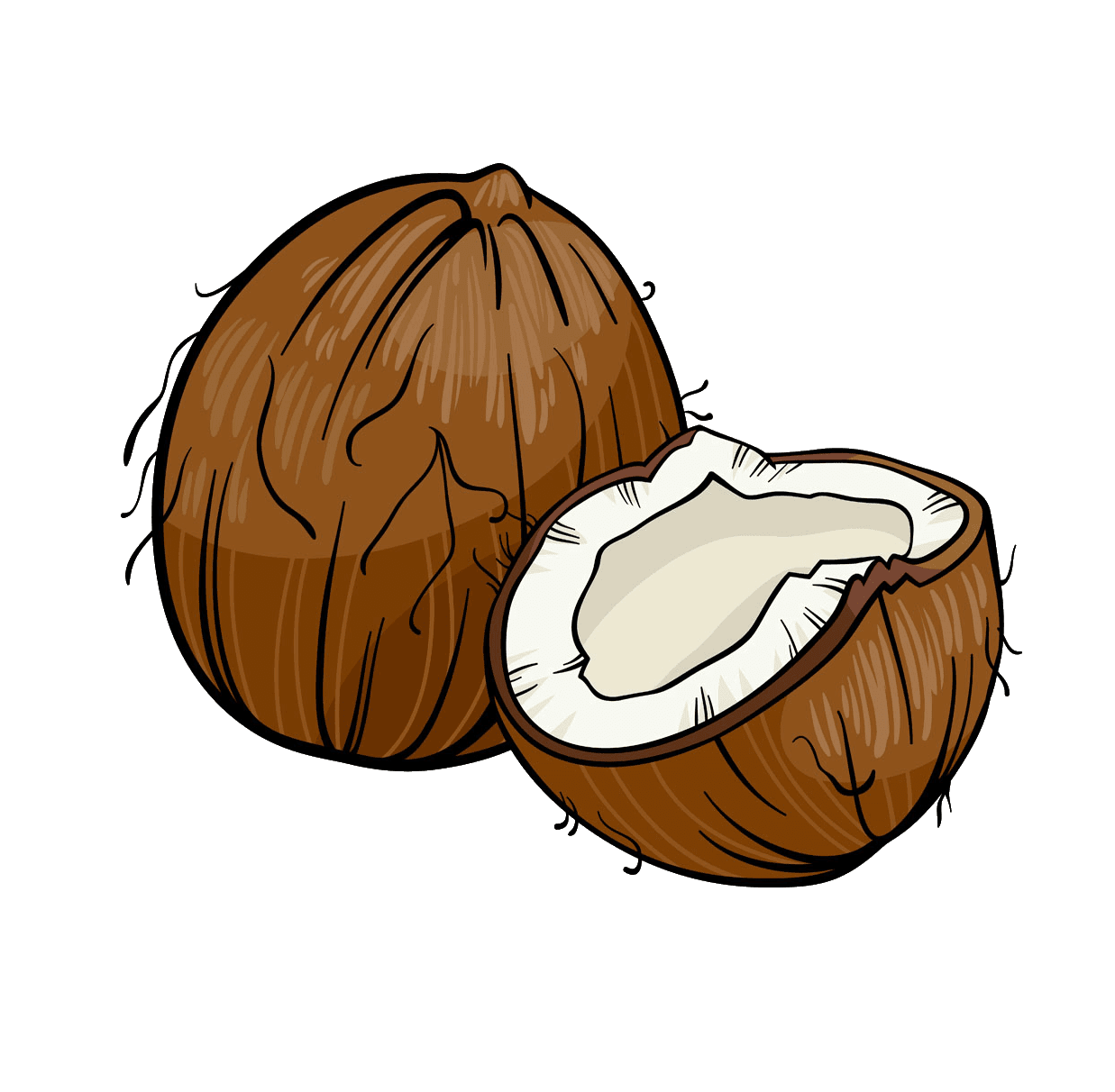 Best coconut clipart background