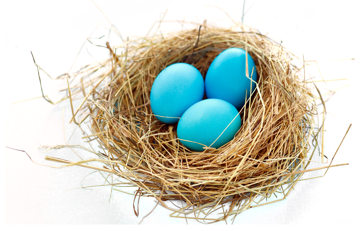 For egg nest clipart image