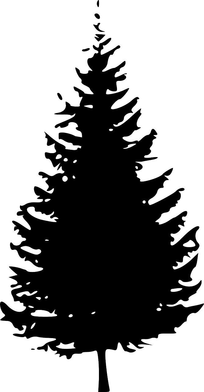 Christmas tree black and white silhouette pine vector graphic clipart