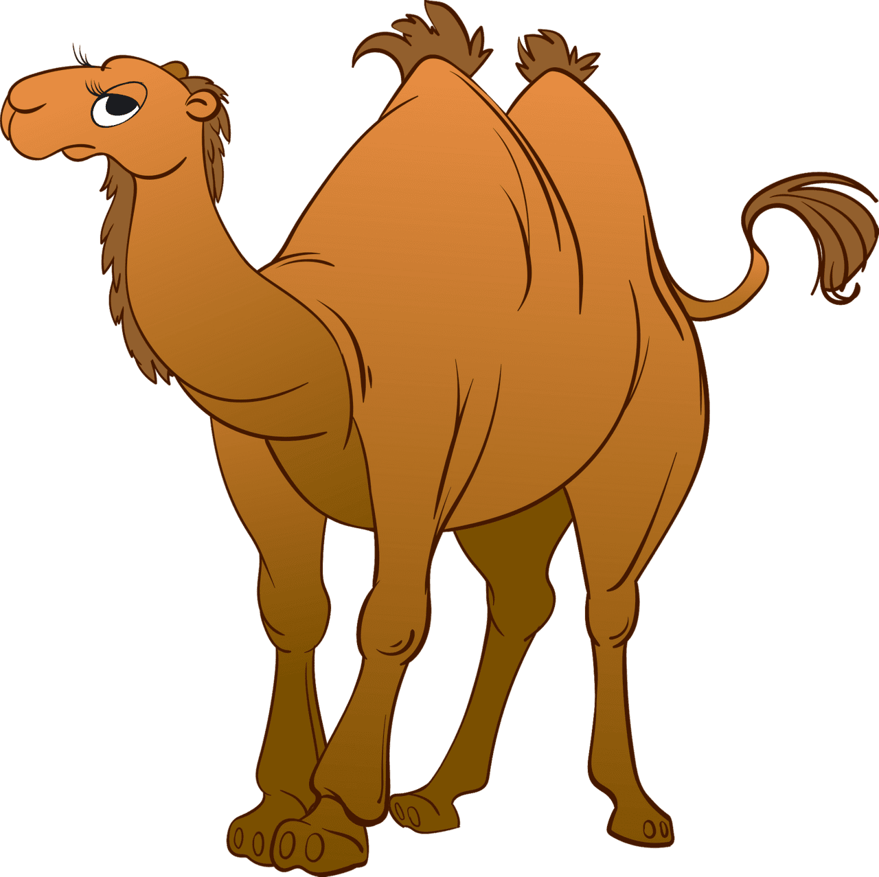 Bactrian camel vector clipart images