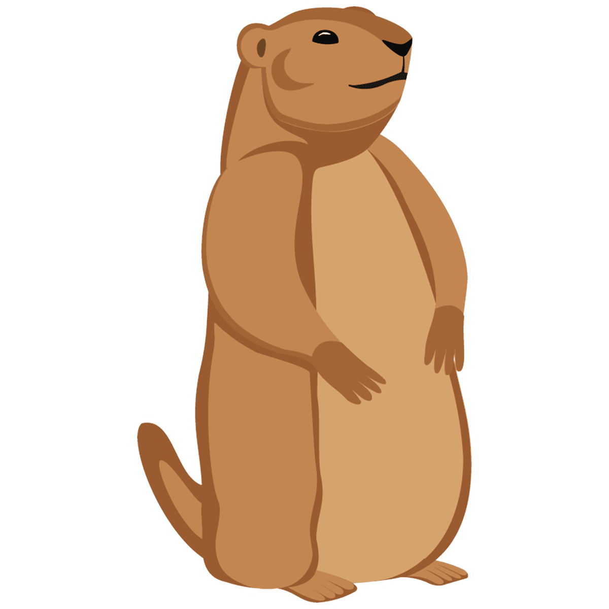 Groundhog events woodside elementary clipart background