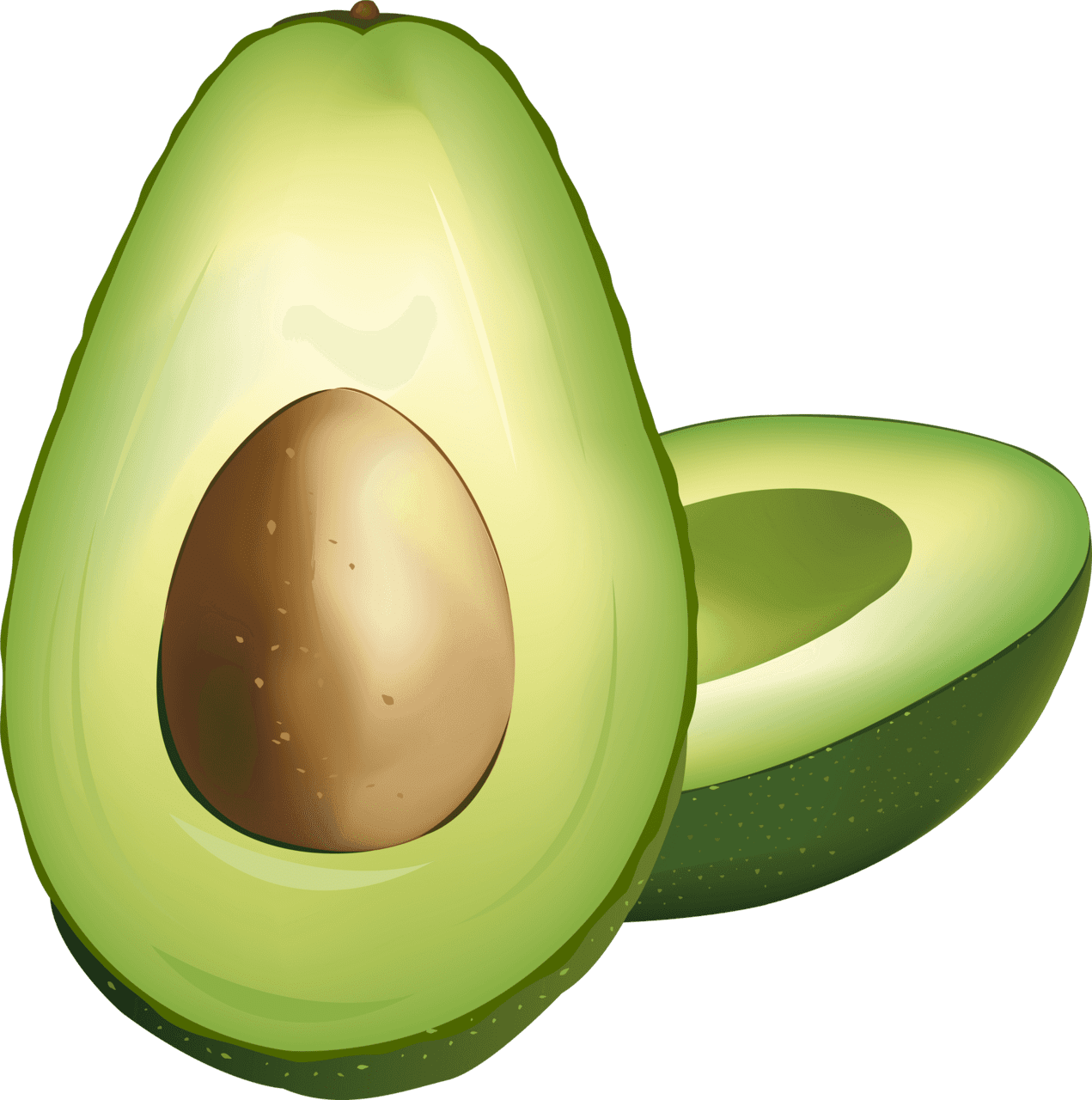 Avocado images clipart