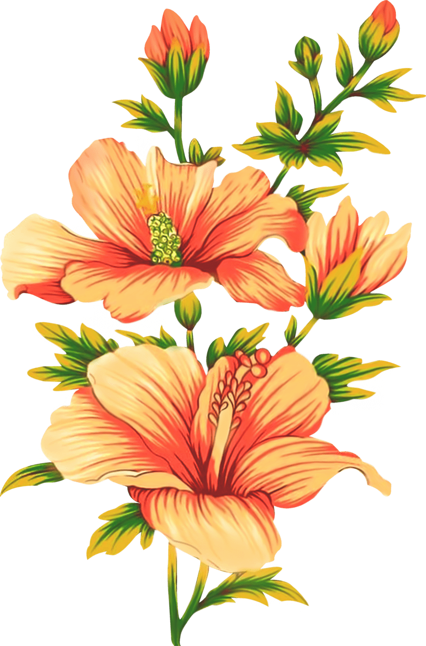 Hawaii pin page clipart vector 2