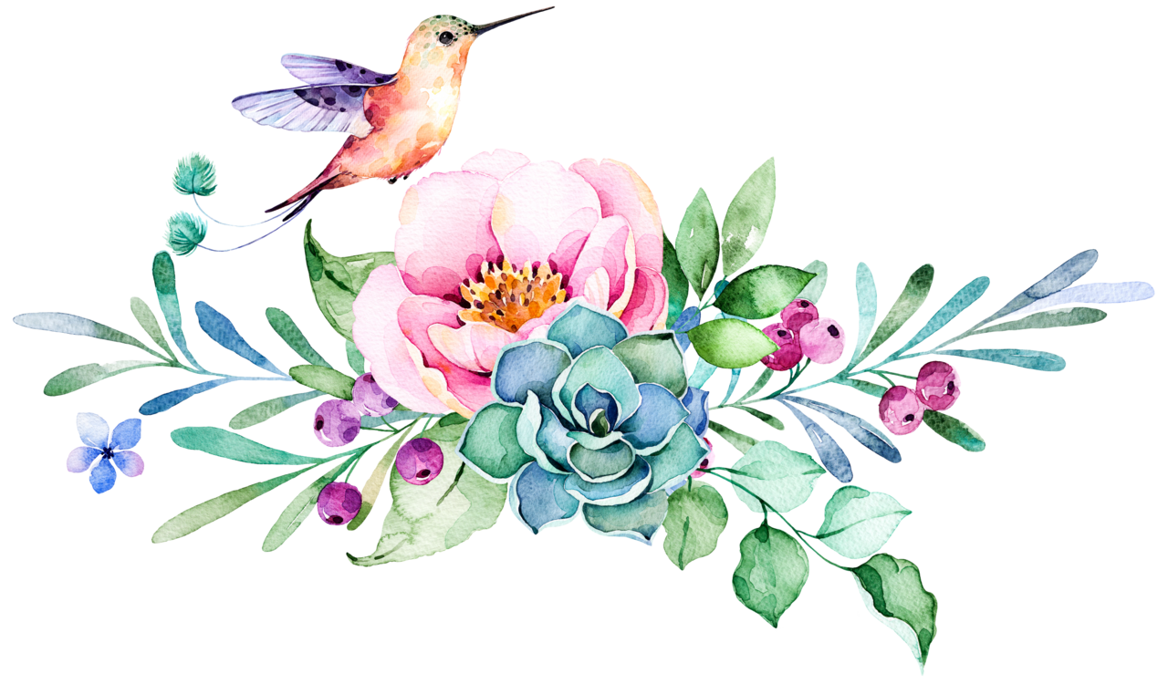 Hummingbird pin page clipart free