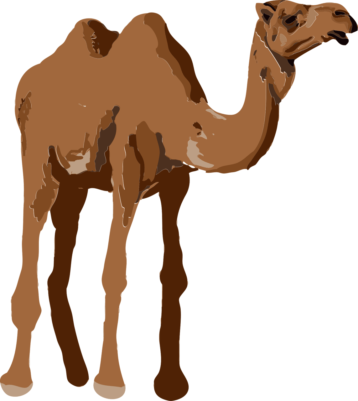 Camel vector clipart images 7