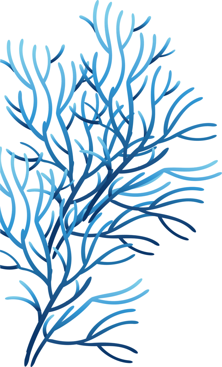 Coral marine biochem research clipart background