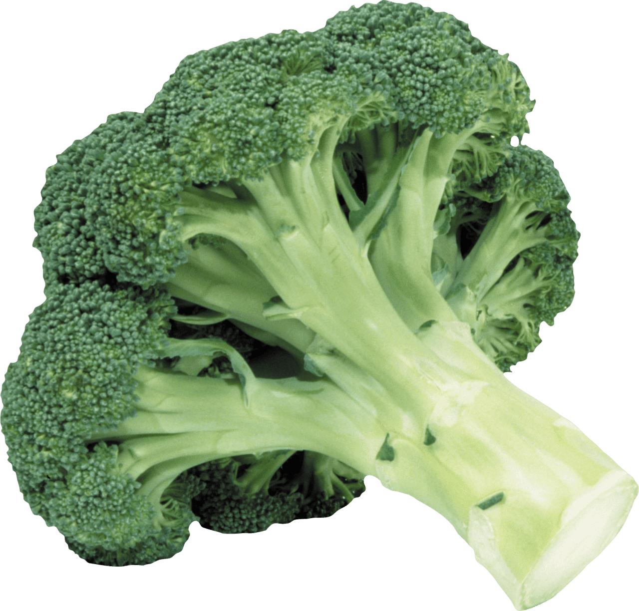 Broccoli clipart logo