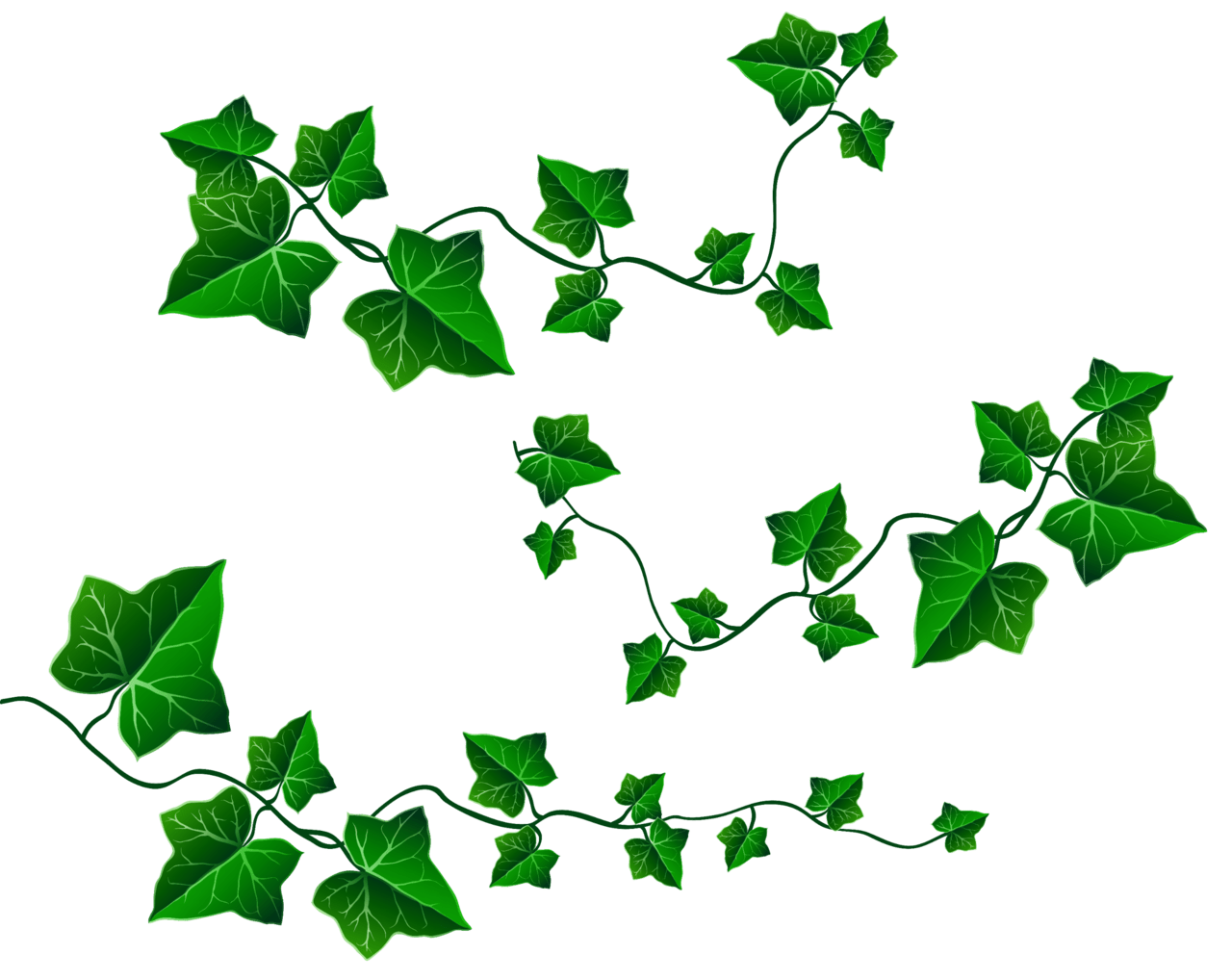 Vine pin page clipart background 3