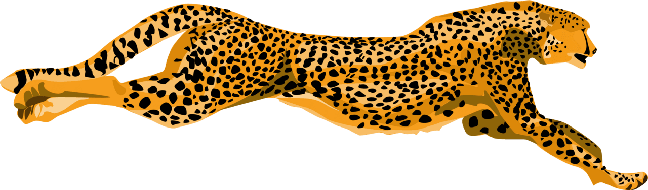 Runner cheetah pic hq fre img clipart photo