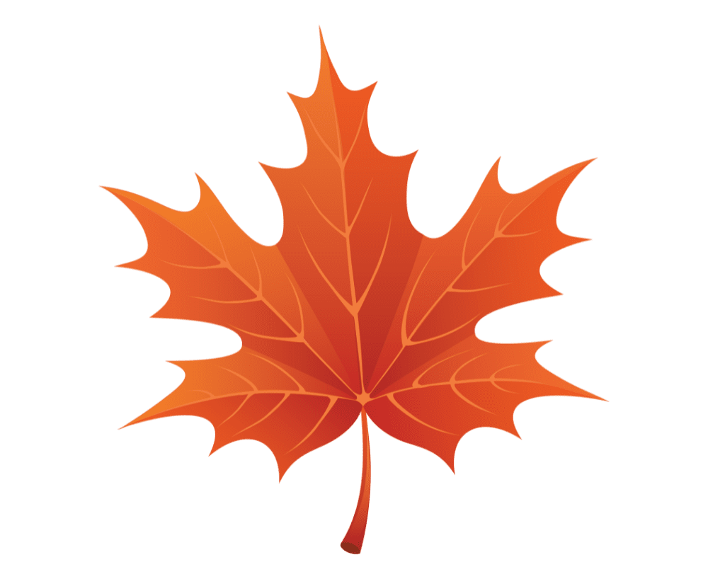 Autumn leaf leaves images hd photo clipart