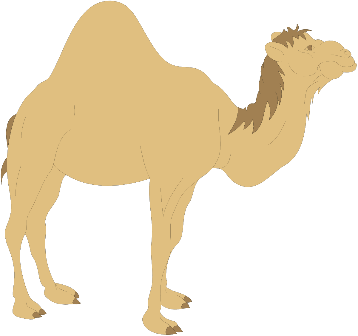 Camel clipart picture