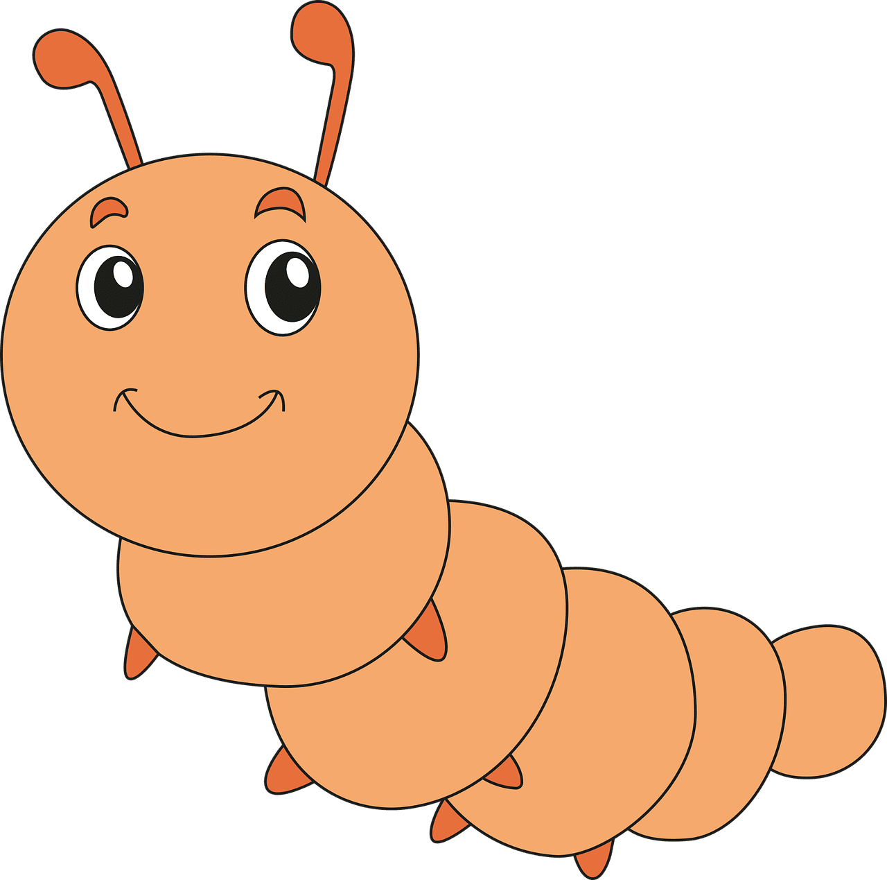 Insect caterpillar worm vector graphic clipart