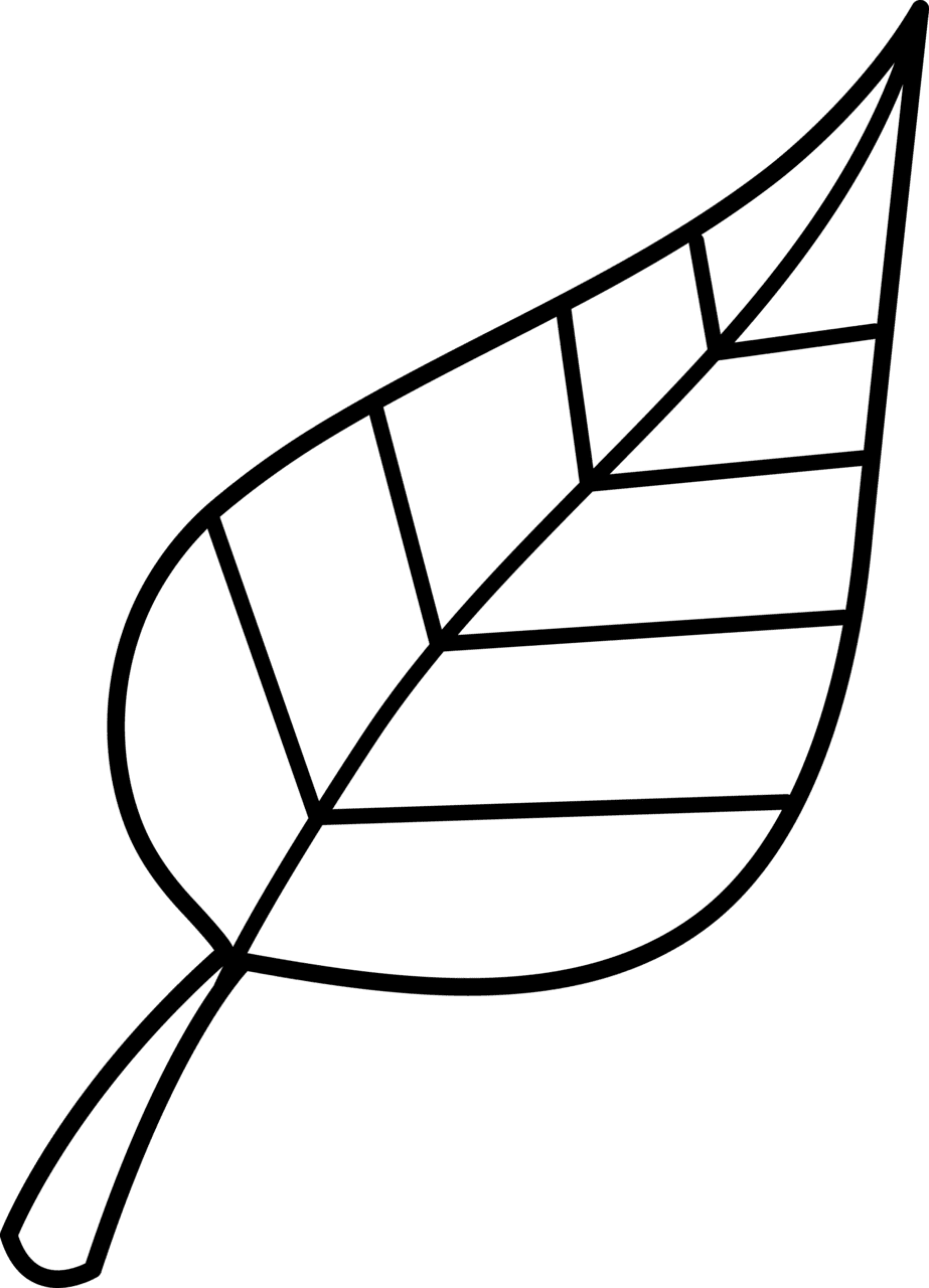 Autumn leaf fall leaves outline clipart suggest image