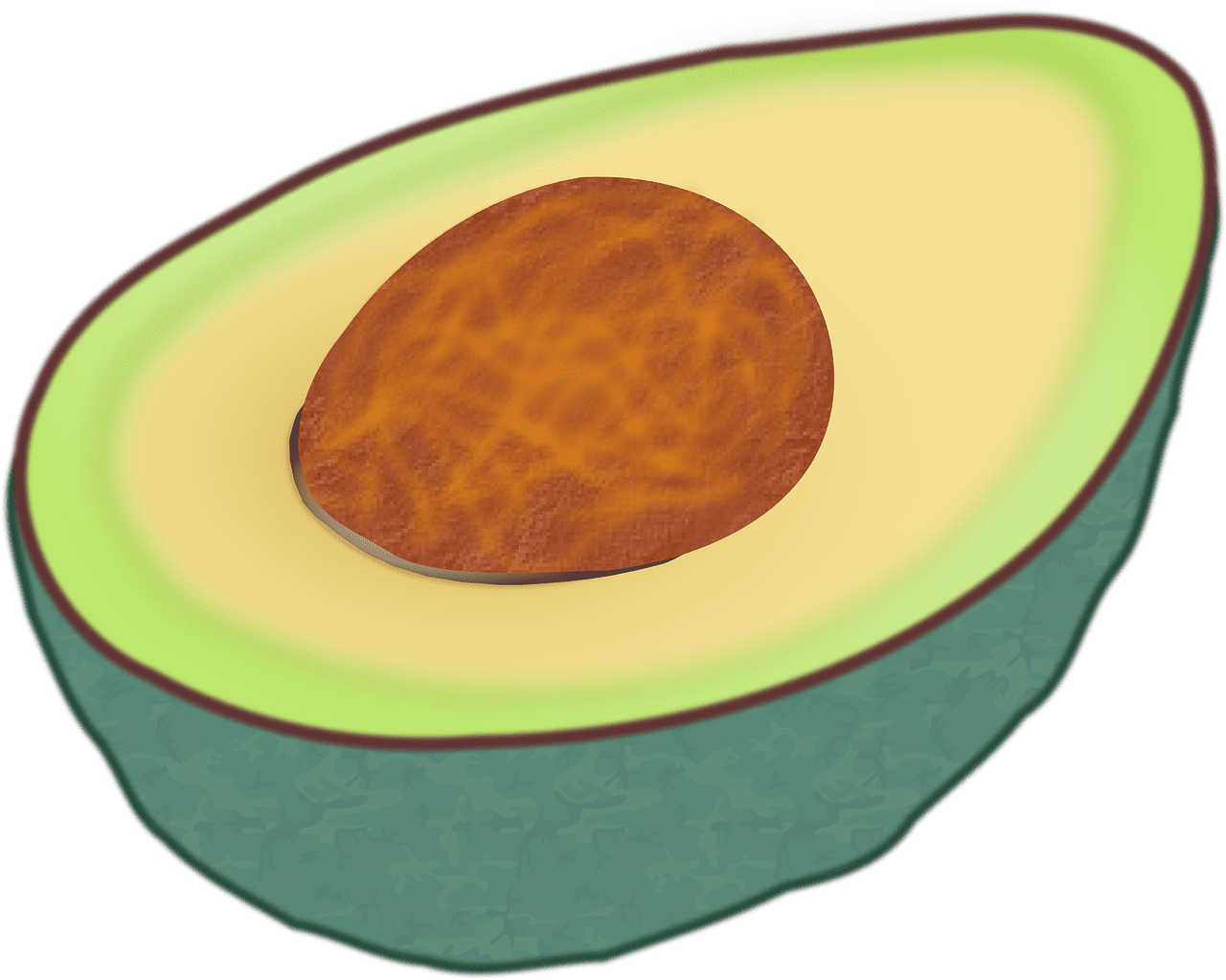 Avocado food cut vector graphic clipart