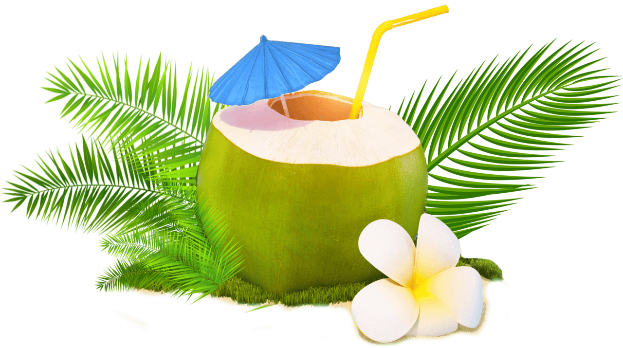 Coconut day clipart background