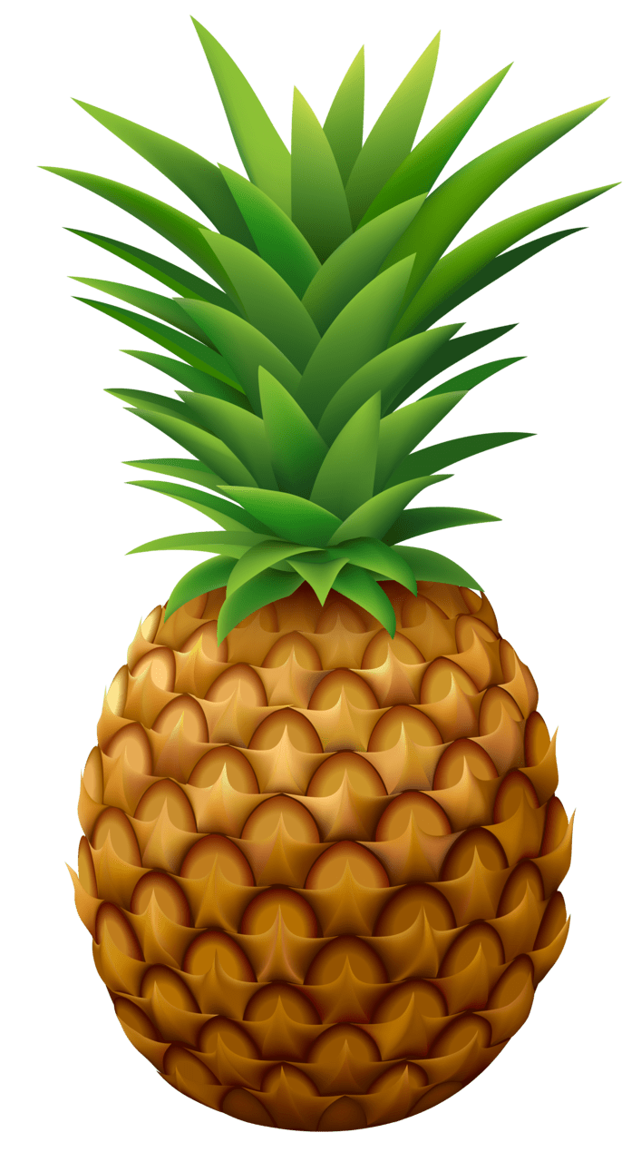 Fruits pineapple vector clipart image